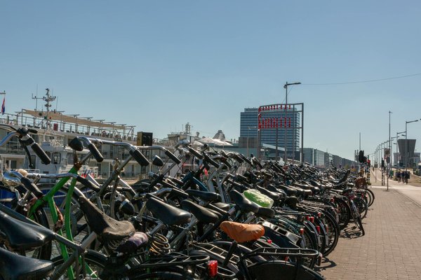 Assurance scolaire : comment cela fonctionne ?